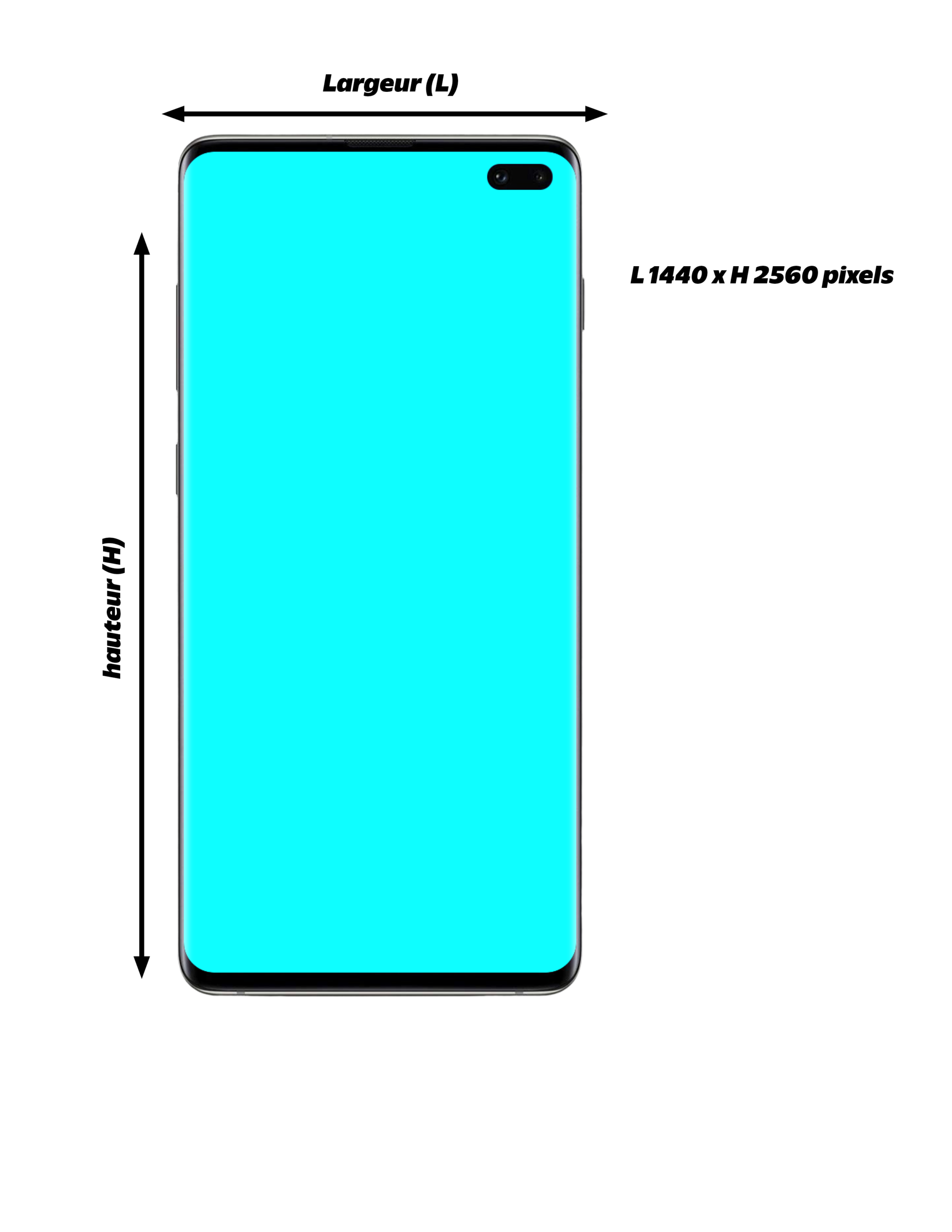 Nordic Magazine, Biathlon Magazine, Numéro 39, Nordic Mag, Biathlon, Ski de fond, Saut à ski, Combiné nordique, magazine